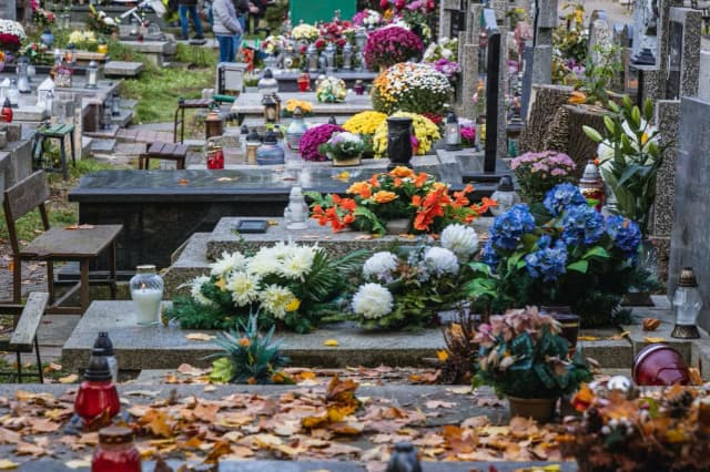 Jak wybrać wieńce i kwiaty na pogrzeb? Symbolika kolorów i rodzajów kwiatów Jak wybrać wieńce i kwiaty na pogrzeb? Symbolika kolorów i rodzajów kwiatów