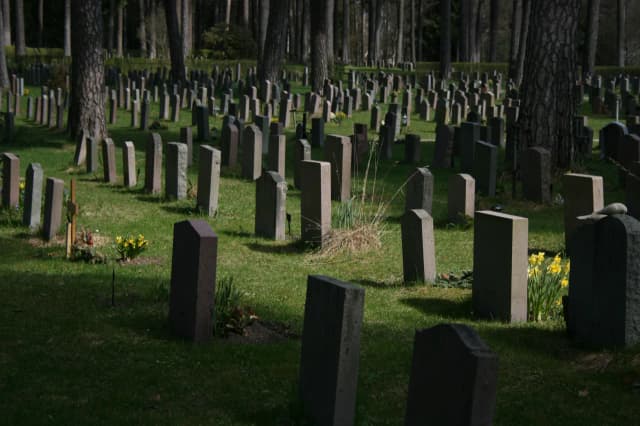 Ile kosztuje miejsce na cmentarzu na Wólce Węglowej? Sprawdź ceny i opcje Ile kosztuje miejsce na cmentarzu na Wólce Węglowej? Sprawdź ceny i opcje