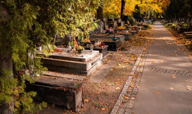 Ile kosztuje pochówek z kremacją? Sprawdź ceny i ukryte wydatki Ile kosztuje pochówek z kremacją? Sprawdź ceny i ukryte wydatki